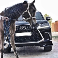 Карлыгаш Акумбаева, 25.10.1988, Астана