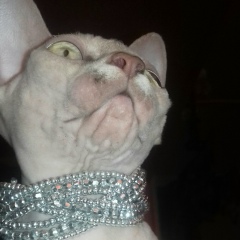 Анжелика Слепцова, 15.03.1981, Якутск