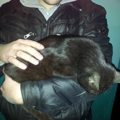 Дмитрий Протасевич, 29.03.1986, Житомир