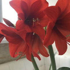 Вера Кетова, 26.07, Москва