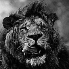 Айк Хачатрян, 28.09, Красноярск