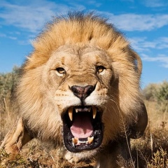 Нурали Накиев, 05.10.1986, Бугульма