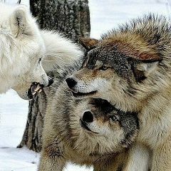 Аслан Конурбаев, 18.05, Астана