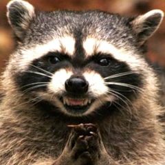 Майя Петрова, 02.06, Санкт-Петербург