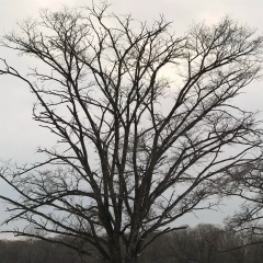 Илья Тютюньков, 17.06.1982, Владивосток