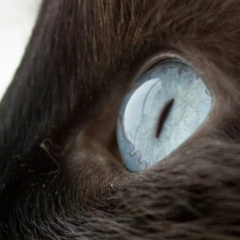 Zhanka Ryabova, 25.03, Петрозаводск