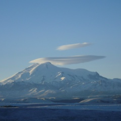 Елена Сабинина