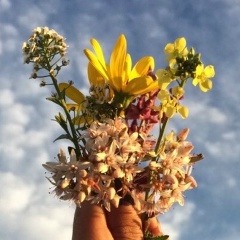 Натали Zvezdopadova, 27.06.1988, Гродно