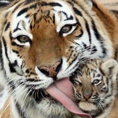 Ольга Серкова, 10.07, Москва