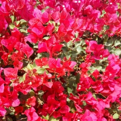 Виктория Vikki, 23.06.1983, Киев