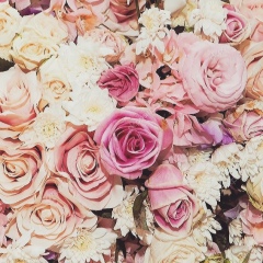 Айжан Даркимбаева, Алматы