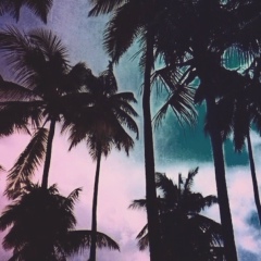 Дарья Заломова, 07.04.1993