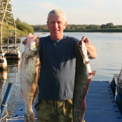 Александр Петруня, Конотоп