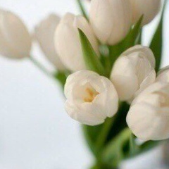 Камшат Жұбатханова, 30.04.1996, Астана