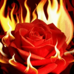 Светлана Игбаева, 03.12.1987, Кокшетау