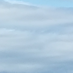 Андрон Ефимов, 07.07.1977, Санкт-Петербург