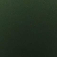 Оля Воронова, Санкт-Петербург