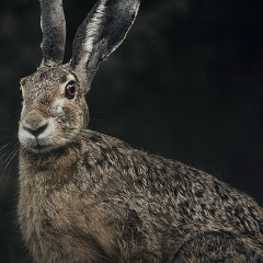 Денис Смолин, 11.05.1994, Salalah