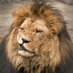 Не Скажу, 26.05.1990