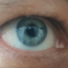 Serkan Can, 24.11.1990, İstanbul