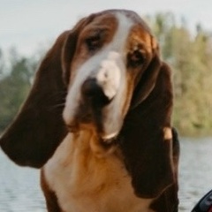 Екатерина Меркурьева, 03.10, Санкт-Петербург