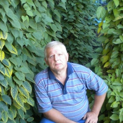 Владимир Блох, Новосибирск