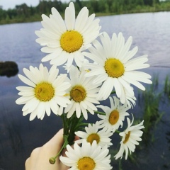 Elona En, Нижневартовск