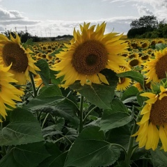 Ирина Ячина, 18.05, Самара