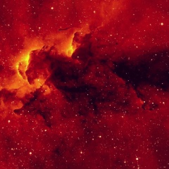 Сергей Раюшкин, 20.01, Москва