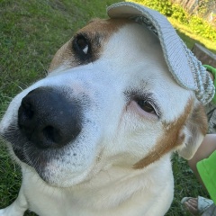 Брат Насти, 21.01.1978, Санкт-Петербург