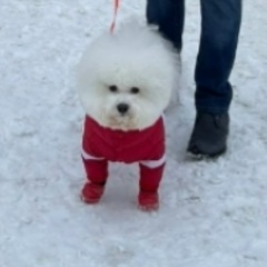 Руслан Керимов, 29.08, Москва