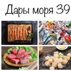 Виктория Николаева, Калининград