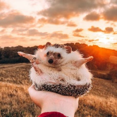 Оксана Варюта, 29.01.1993