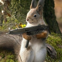 Елена Антонова, 29.07, Санкт-Петербург