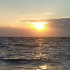 Светлана Заблоцкая, 26.06, Инта