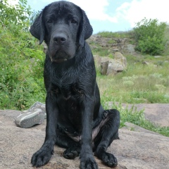 Aleksandra Snezhko, 28.03, Киев