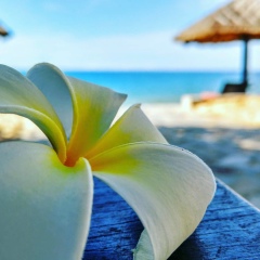 Андрей Боткин, 01.11, Москва