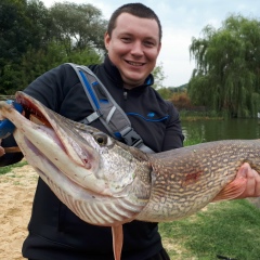 Толик Григоренко, 15.04, Харьков