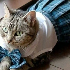 Марина Тен, 29.05.1985, Алматы