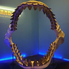 Вячеслав Ильющенко, 18.08.1980, Москва