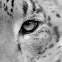 Юля Шерстнева, Белорецк