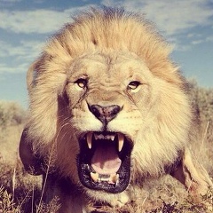 Sunset Тамерлан, 14.05.1986, Алматы