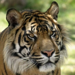 Евгений Л, Москва