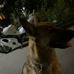 Павел Новиков, 15.01.1998, Москва