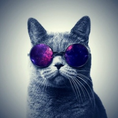 Ali Kubakov, 05.04.1999, Бишкек