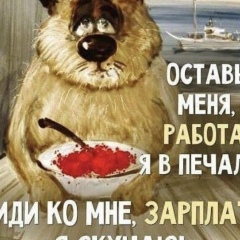 Андрей Рыжков, Санкт-Петербург