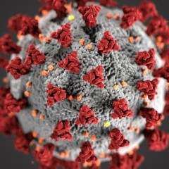 Максим Устинов, 17.08, Санкт-Петербург