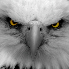 Алексей Куницин, 09.06, Калуга