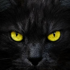 Олег Родионов, Харьков