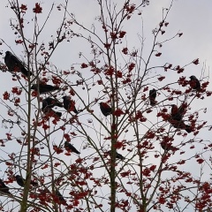 Светлана Лобачева, 07.11.1987, Тверь